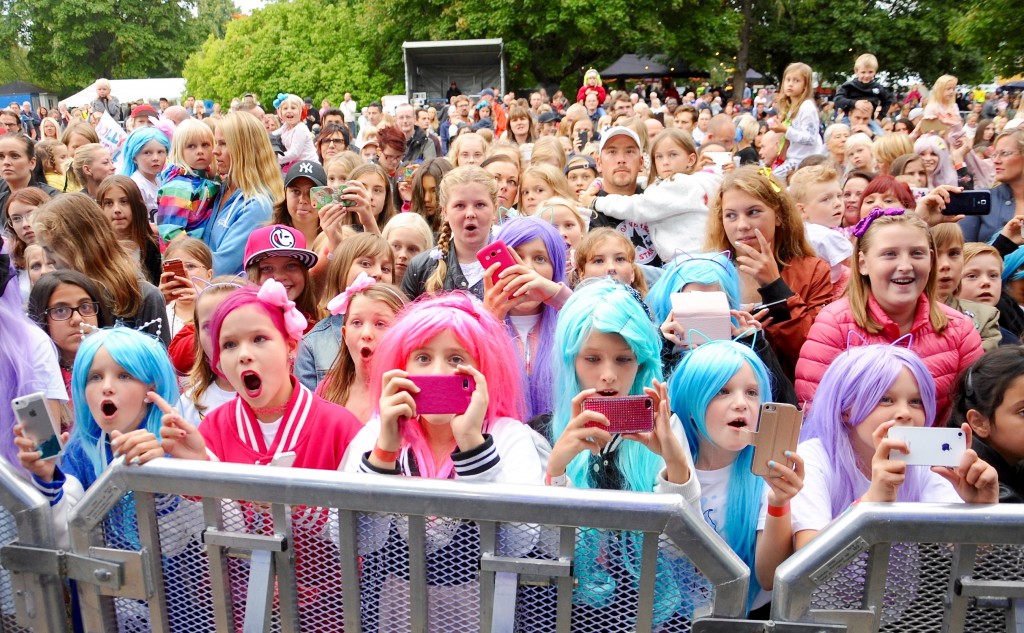 Sävsjö Celebration foto frSMT 3 - Sävsjö Celebration är en uppstickare bland stadsfestivalerna som på kort tid har blivit ganska uppmärksammad. Med relativt små medel till buds har man lyckats få ihop en imponerande line-up av artister som tilltalar en bred publik. Med över 6500 besökare 2016 får den räknas som ett av södra Sveriges större musikarrangemang.