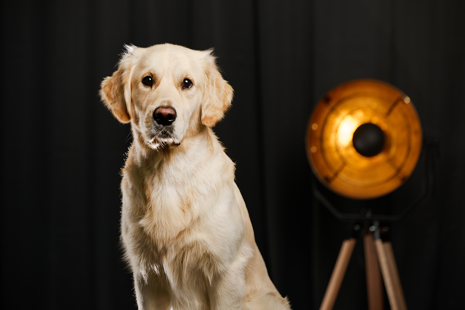 Kontakt - Söker du kontaktuppgifter till någon särskild av våra medarbetare, klicka på knappen nedan! DSC 3239 eventkraft20230920 - Söker du kontaktuppgifter till någon särskild av våra medarbetare, klicka på knappen nedan!