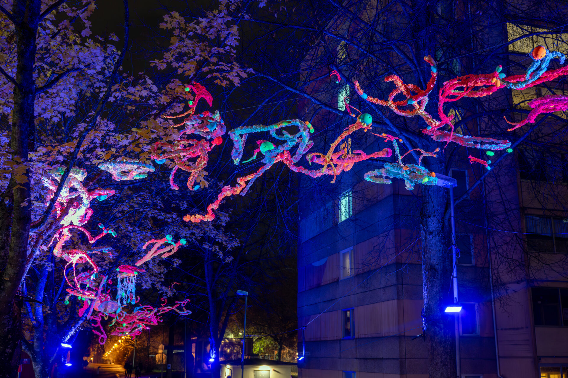 humanlightsfestival DSC 8597 - Ljusfestivalen Human Lights i Jönköping är en internationell sammankomst för ljus- och ljudkonst som äger rum på Råslätt. Festivalen fokuserar på att skapa en känsla av gemenskap genom platsspecifika konstverk som integreras i den urbana miljön och naturen. Konstverken skapas av internationella konstnärer i samarbete med lokalbefolkningen, inklusive barn och unga, genom workshops och interaktiva installationer. Initiativtagare och konstnärlig ledare är Dulce Ahlberg känd från projektet Island of Light i Smögen.