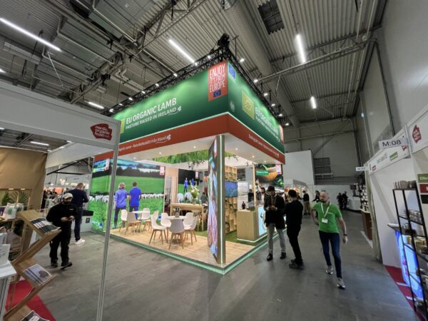 IMG 3534 scaled - Plastmatta i trä-immitation för mässa och event. Finns i fyra olika nyanser. Materialet är 100% Polypropylen och den är 2,8mm tjock. Kapas från rullar som är 2m breda och 30m långa. För bästa pris köper man mattan på hel rulle - kapningsavgift tillkommer i annat fall.